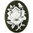 Cameo Rose 25x18mm - Army green/white