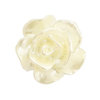 Rose bead 10mm - Ivory Cream Pearl Shine x5