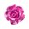 Rose bead 10mm - Magenta Pearl Shine x5